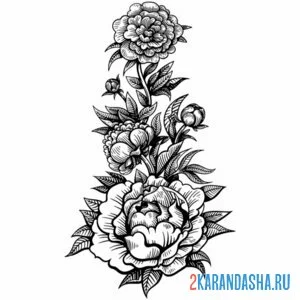 Раскраска пионы и листочки