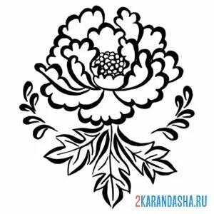 Раскраска пион простой рисунок