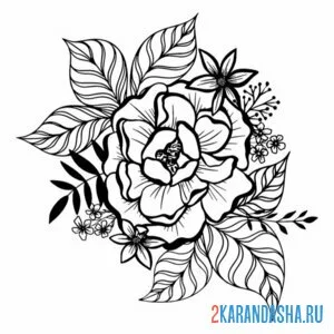 Раскраска пион шаблон для татуировки