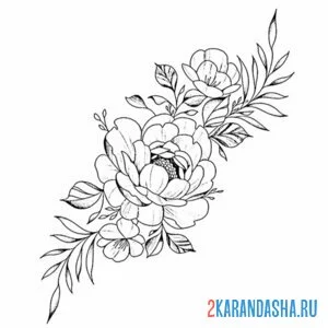 Раскраска пион иллюстрация штрих