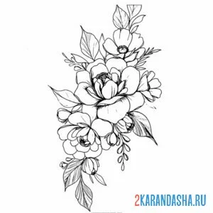 Раскраска пион ручная иллюстрация