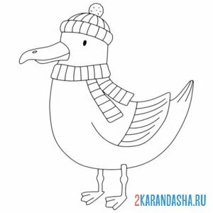 Раскраска чайка в шарфике