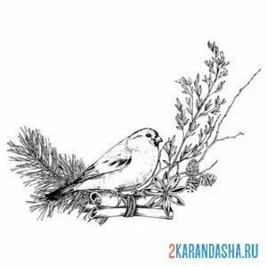 Раскраска рождественская птичка