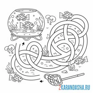 Раскраска лабиринт и аквариум