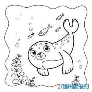 Раскраска морской котик на дне