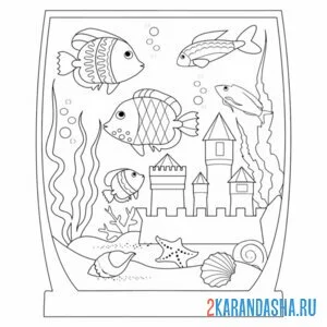 Раскраска аквариум необычной формы