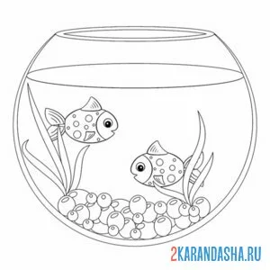 Раскраска две рыбки аквариум