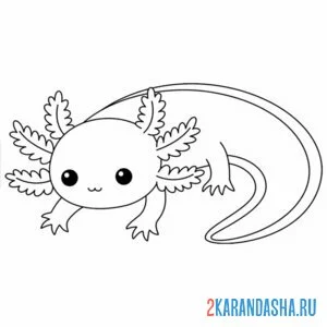 Раскраска аксолотль малыш