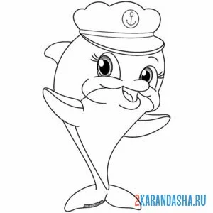 Раскраска капитан-дельфин