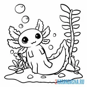 Раскраска аксолотль морской
