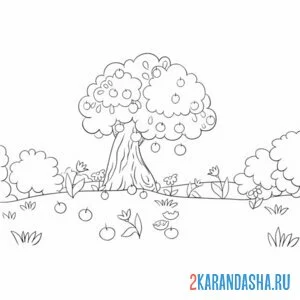 Раскраска яблоня с яблоками дерево