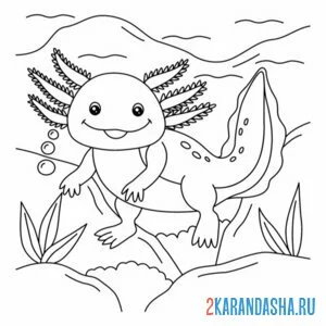 Раскраска аксолотль плавает
