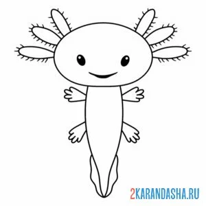 Раскраска маленький аксолотль