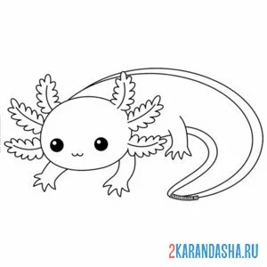 Раскраска аксолотль цветной