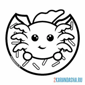 Раскраска аксолотль пончик
