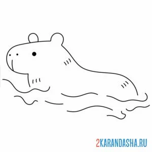 Раскраска капибара плывет