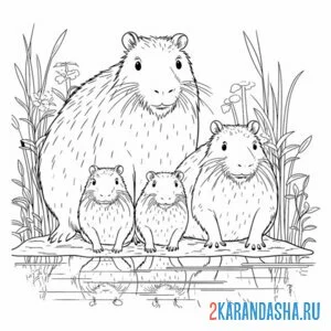 Раскраска семья капибар