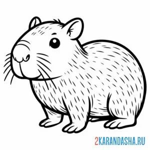 Раскраска пушистый капибара