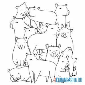 Раскраска капибара фон