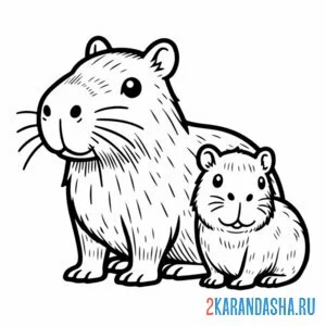 Раскраска капибара и малыш