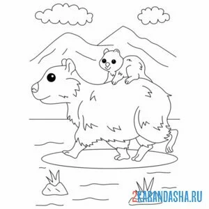 Раскраска капибара мама и малыш