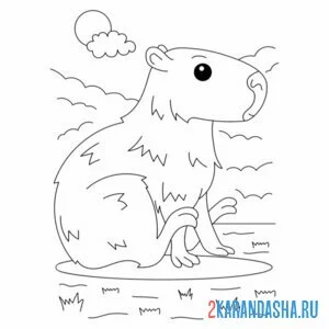 Раскраска капибара сидит