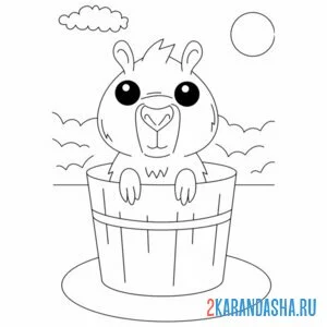 Раскраска капибара в бочке