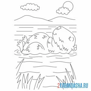 Раскраска капибара плывет на спинке