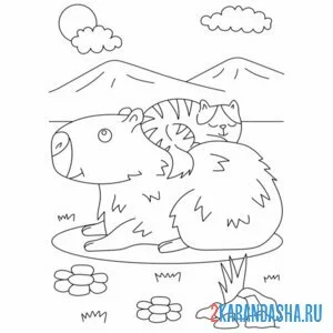 капибара и котик