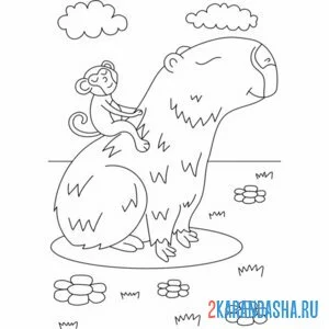 Раскраска капибара и обезьянка
