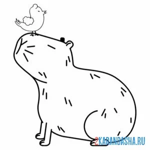Раскраска капибара и птичка