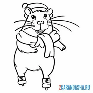 Раскраска капибара катается на коньках