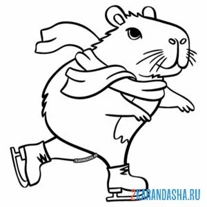 Раскраска капибара на коньках