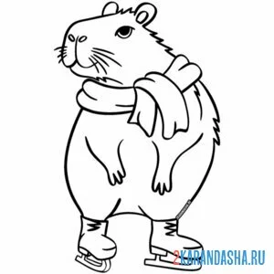 Раскраска капибара и коньки