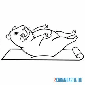 Раскраска капибара и йога