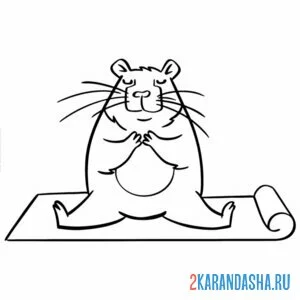 Раскраска капибара шпагат