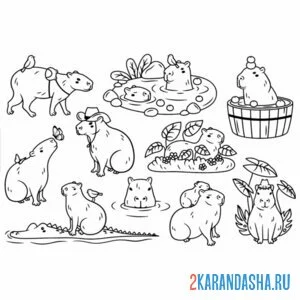Раскраска много капибары