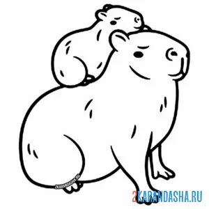 Раскраска капибара с малышом