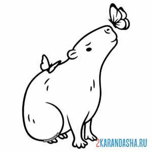 Раскраска капибара и бабочки
