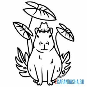 Раскраска капибара под листьями