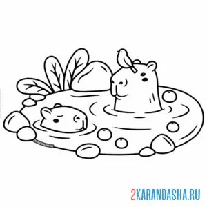 Раскраска капибара в луже