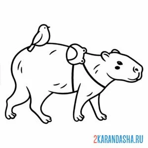 Раскраска капибара с сумкой