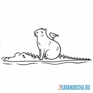 Раскраска капибара на крокодиле