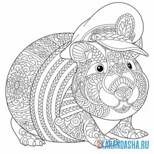 Раскраска капибара капитан антистресс