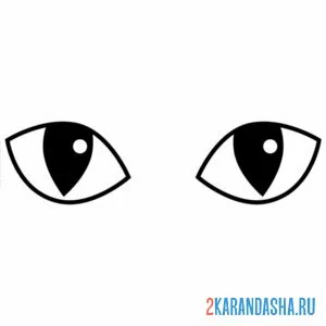 Раскраска кошка глаза