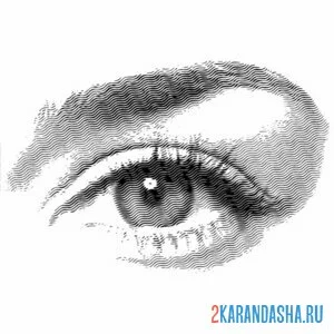 Раскраска глаз иллюстрация