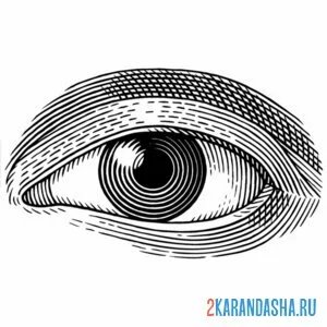 Раскраска глаз без ресниц