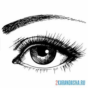 Раскраска глаза и веко
