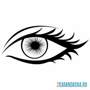 Раскраска глаз контур