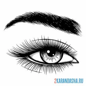 Раскраска глаз и густые брови